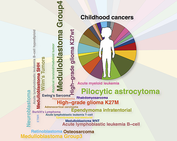 Grafik Diversity of childhood cancer