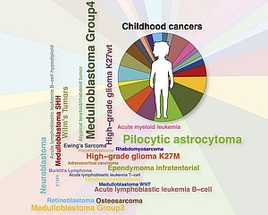 Diversity of childhood cancers